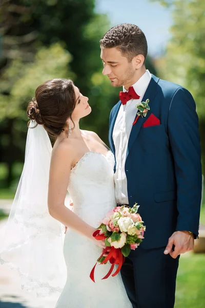 Hochzeitspaar-Porträt über die Natur — Stockfoto