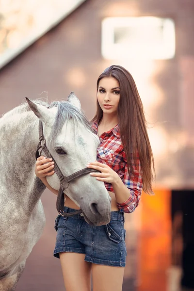 Mulher e Cavalo. Casual estilo sexy — Fotografia de Stock