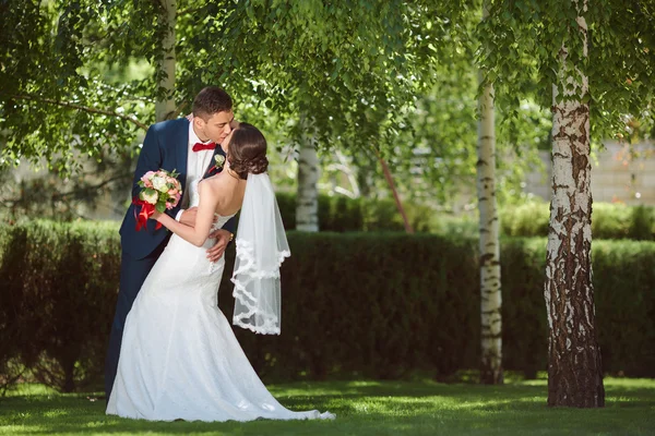 Pareja de boda en la naturaleza — Foto de Stock