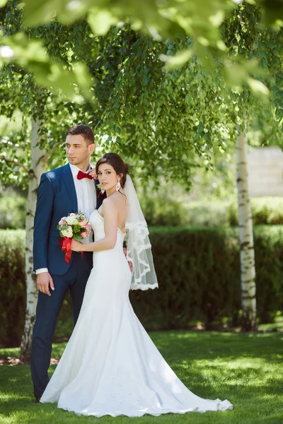 Pareja de boda en la naturaleza — Foto de Stock