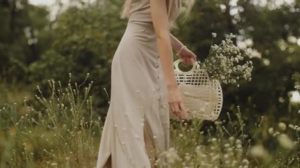 Femme avec des fleurs dans la nature en été. — Video