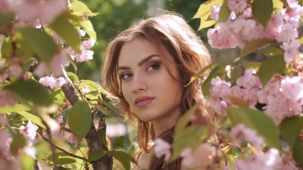 自然の中で桜の木を開花させる女性 — ストック動画