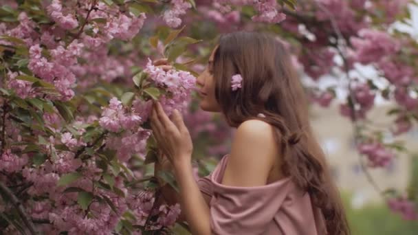 Frau am blühenden Sakura-Baum in der Natur — Stockvideo