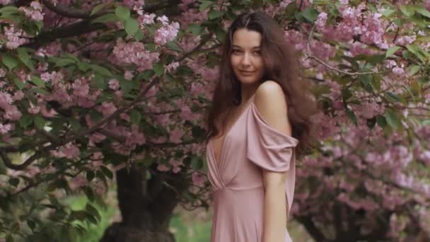 Mulher em Floração Sakura Árvore na Natureza — Vídeo de Stock