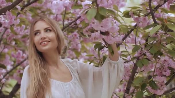 Retrato de belleza primaveral de una mujer en flor Sakura Tree on Nature — Vídeo de stock