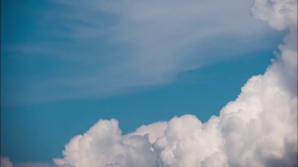 Close-up Fluffy White Clouds Moving Fast in Time-lapse. — Wideo stockowe