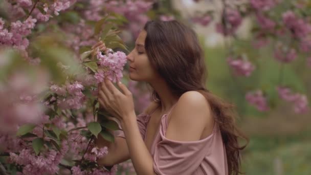 Frau am blühenden Sakura-Baum in der Natur — Stockvideo