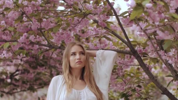 Primavera beleza retrato de uma mulher em flor Sakura Árvore na natureza — Vídeo de Stock