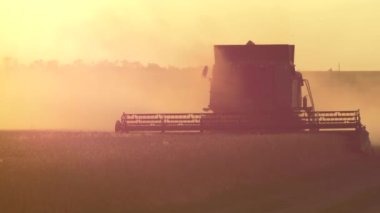 Hasadı Birleştirip Buğday Ürününü Topluyor.