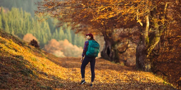 산림 근처의 시골 길을 걷는 암컷 여행객 — 스톡 사진