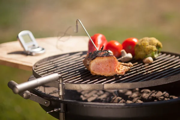 Controlo da carne — Fotografia de Stock