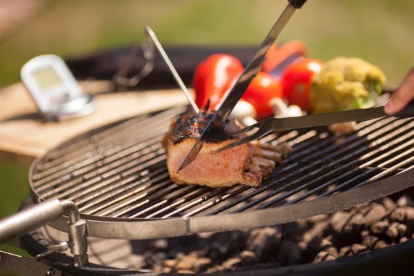 Checking meat — Stock Photo, Image