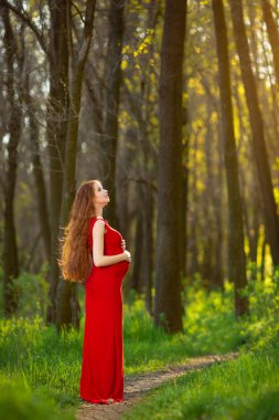 Rahatlatıcı ve doğa hayatta zevk genç hamile kadın