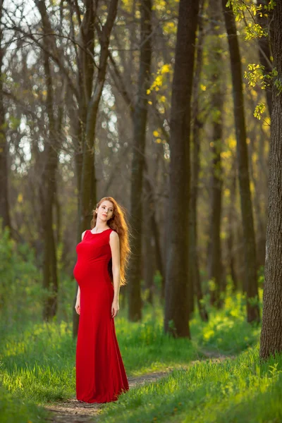 Jonge zwangere vrouw ontspannen en genieten van het leven in de natuur — Stockfoto