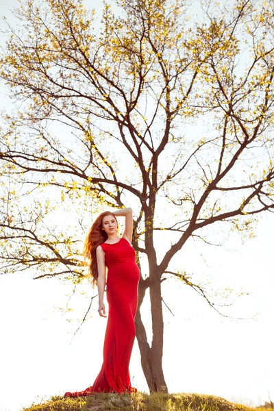 Mujer embarazada joven relajarse y disfrutar de la vida en la naturaleza. Árbol familiar . — Foto de Stock