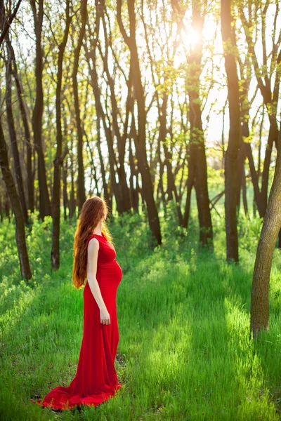 Junge schwangere Frau entspannt sich und genießt das Leben in der Natur — Stockfoto