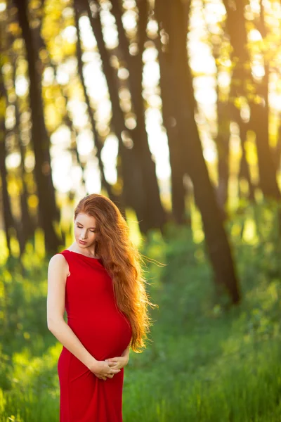 Rahatlatıcı ve doğa hayatta zevk genç hamile kadın — Stok fotoğraf