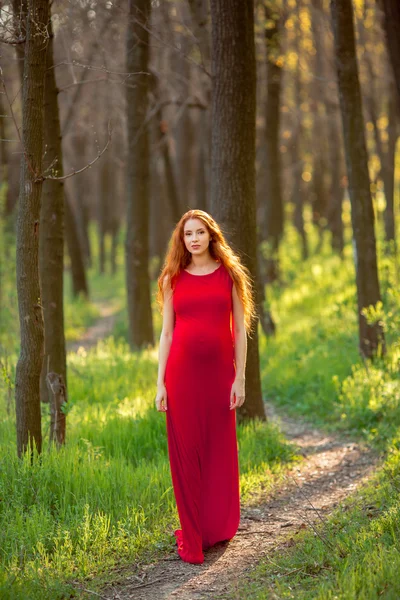 Jonge zwangere vrouw ontspannen en genieten van het leven in de natuur — Stockfoto