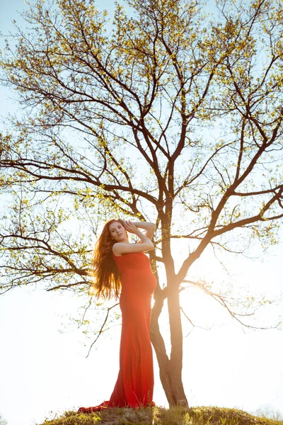 Jonge zwangere vrouw ontspannen en genieten van het leven in de natuur. Stamboom. — Stockfoto