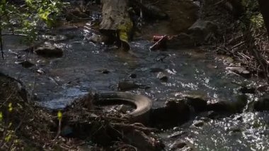 Çöp ile Nehri'nde su kirliliği.