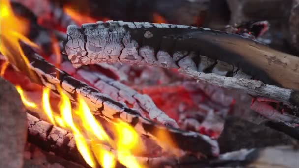 Lagerfeuer, Lagerfeuer — Stockvideo