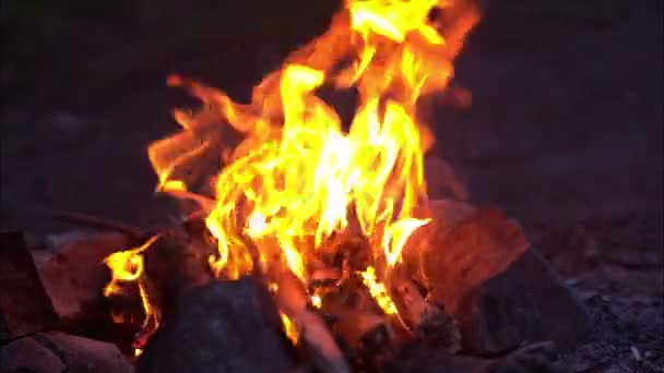Şenlik ateşi, kamp ateşi — Stok video