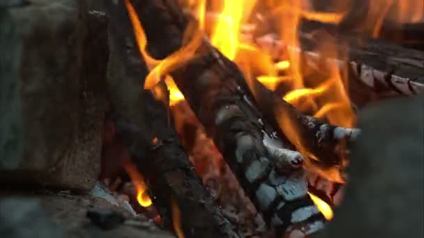 Lagerfeuer, Lagerfeuer — Stockvideo