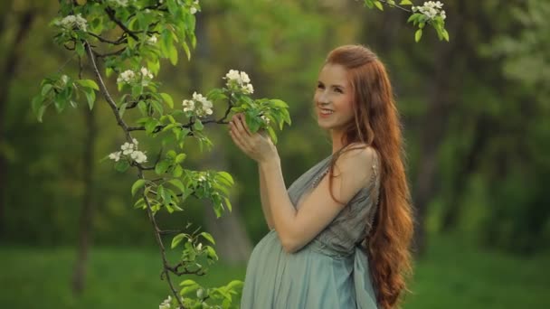 Jovem mulher grávida relaxar e desfrutar da vida na natureza — Vídeo de Stock