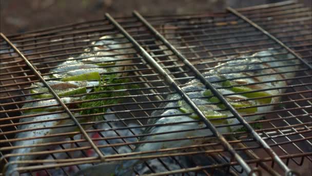 Heißer Fisch auf dem Grill — Stockvideo