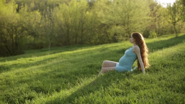 Mujer embarazada joven relajarse y disfrutar de la vida en la naturaleza — Vídeos de Stock