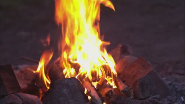 Lagerfeuer, Lagerfeuer — Stockvideo