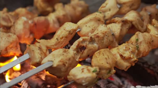 Brochetas de carne en el primer plano de la parrilla — Vídeo de stock