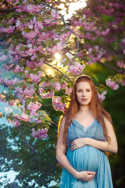 Piękna ciężarna kobieta w kwitnącym ogrodzie — Zdjęcie stockowe