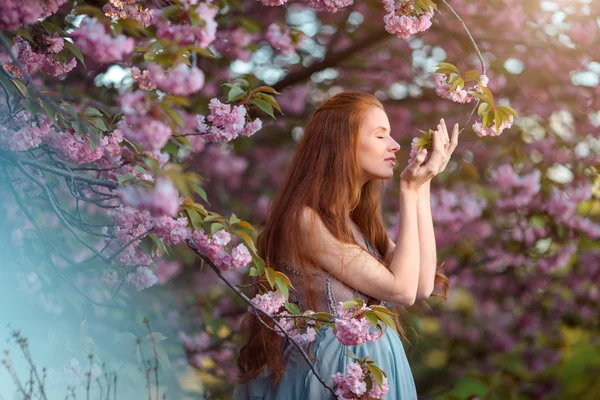 Mulher grávida bonita no jardim florescendo — Fotografia de Stock