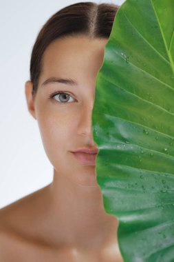 Çiy damlalarıyla kaplı tropikal bir yaprağın arkasında bronzlaşmış kadın nem ve su kaybını simgeliyor. Eko cilt bakımı, spa, temiz güzellik ve organik kozmetik ürün pazarlaması veya reklamlar için mükemmel..