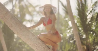 Kırmızı bikinili ve güneş şapkalı şık bir kadın yemyeşil bir tropikal ortamda, eğilmiş bir palmiye ağacına tünemişti. Seyahat, yaz ve egzotik tatil temaları için mükemmel.. 