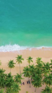 Yüksek kaliteli insansız hava aracı videosu turkuaz okyanus dalgalarının kumsala vurduğunu gösteriyor. Seyahat reklamları, tatil tanıtımları, egzotik kaçamaklar ve yaz yaşam tarzı içeriği için mükemmel..