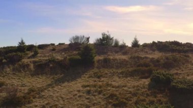 Bu yavaş çekim drone görüntüsü, manzaralı bir dağ manzarasında yalnız bir yürüyüşçüyü yakalar. Kavramsal videolar, seyahat tanıtımları ve macera ve doğal güzelliğe odaklı doğa reklamları için ideal..