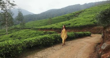 Akan sarı elbiseli genç bir kadın Nuwara Eliya, Sri Lanka 'daki yemyeşil çay tarlalarında kirli bir patika boyunca yürüyor. Sakin manzara seyahat, doğa ve macerayı yakalar.. 