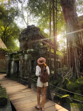 Ta Prohm, Angkor kompleksi, Kamboçya: şapka ve sırt çantalı bir kadın güneş doğarken yosunlu orman tapınağını keşfediyor. Ilık güneş ışınları, eski oymalar ve kökler huzurlu bir ortam hazırlar. Yüksek kaliteli turizm editörü.