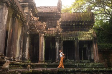 Genç gezgin kadın, Kamboçya 'daki Angkor Wat tapınağının antik kalıntıları arasında maymunlarla yürüyor. Macera yolculuğu konsepti, kültür turizmi, tarih, maneviyat ve yaşam tarzı tanıtımı..
