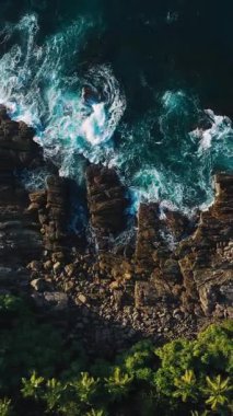 Dalgaların kayalıklara çarptığı engebeli kayalık kıyı şeridinde uçan ve aşağıdaki verimli tropik palmiyeler, seyahat, doğa ve macera temaları, turizm reklamları, tatil belgeselleri ve belgeseller için ideal