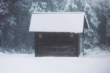 Karla kaplanmış, sisli bir kış ormanında geçen kırsal bir ahşap kulübe. İzolasyon temaları, kış cazibesi, doğal güzellik ve sakin kırsal bölgeler için ideal..