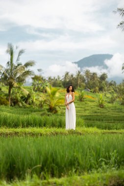 Uzun beyaz önlüklü Asyalı gezgin, palmiye ağaçları ve uzak bir volkan tarafından çerçevelenmiş Bali pirinç tarlalarında poz veriyor. Reklam için yüksek kalite kavramsal görüntü, hedef pazarlama, refah ve