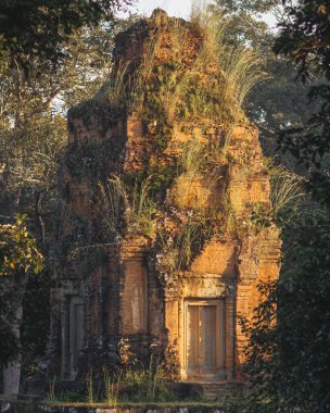 Eski kırmızı tuğlalı Baksei Chamkrong Tapınağı, Kamboçya 'daki Angkor Wat kompleksinde otlarla kaplanmış ve yıpranmış duruyor. Kalıtım, gizem ve seyahatle ilgili görsel temalar için mükemmel.