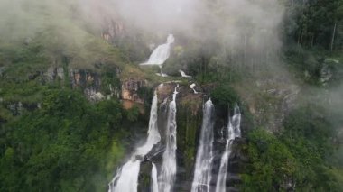 Bomburu Ella Şelalesi üzerinde Sri Lanka 'nın Nuwara Eliya yakınlarındaki yoğun sis altında yağmur ormanları uçurumlarında uçuyor. Huysuz sinema sahnesi, seyahat reklamları, belgeseller, doğa markaları için ideal..