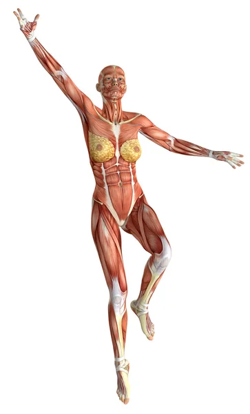 3D figura médica feminina saltando — Fotografia de Stock