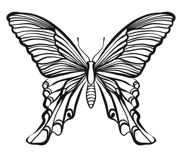 Ilustração borboleta vetor desenhado à mão — Vetor de Stock