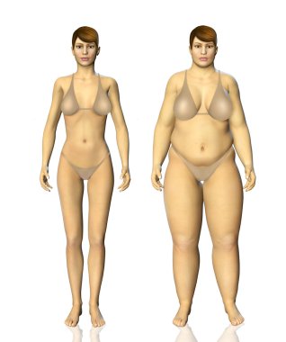 3D yağlı ve ince kadın önce ve sonra kavramı