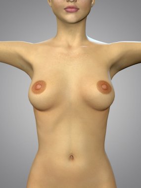 yakın gövde gösterilen bir kadın vücudu 3D render